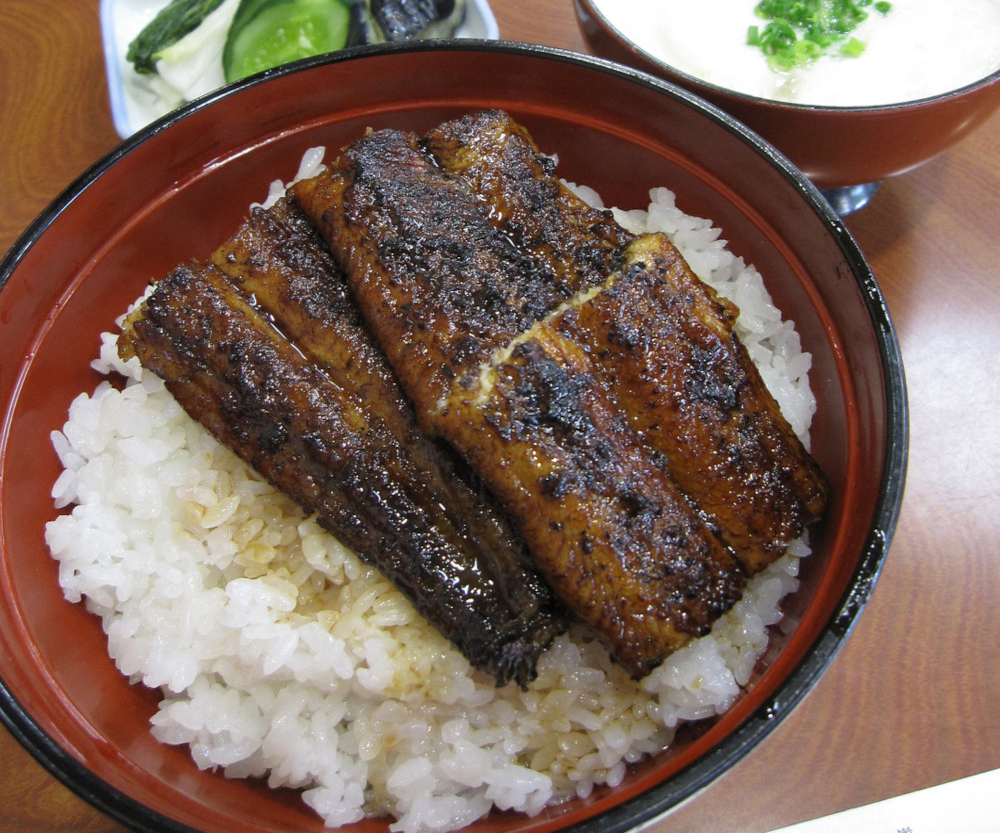 Anguille grillée