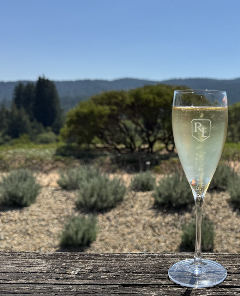 Crémant de la Loire Chenin Extra-brut