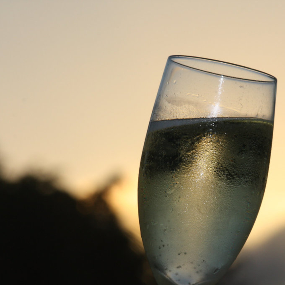 Champagne blanc de noirs demi-sec