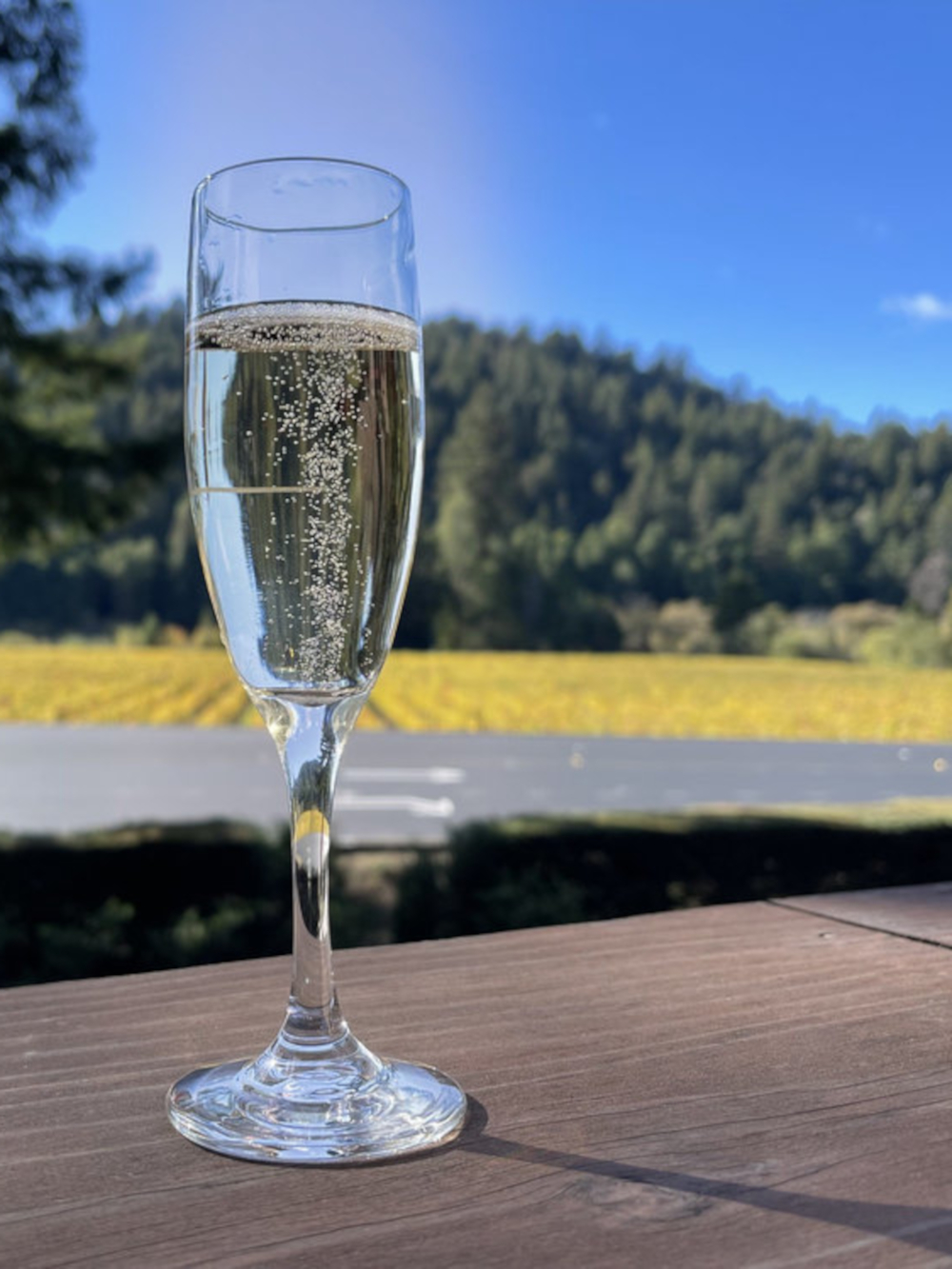 Champagne Grand cru blanc de noirs Brut