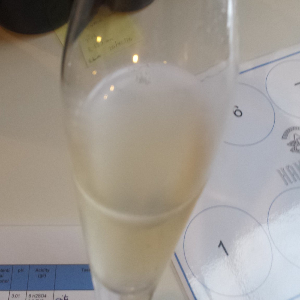 Champagne blanc brut millésimé