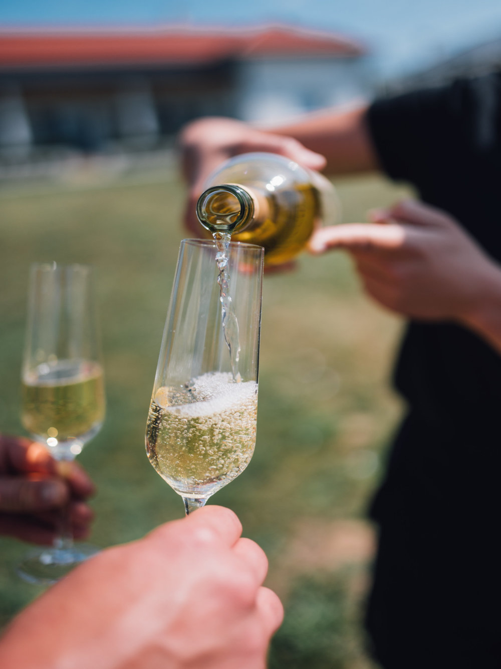 Crémant de Bordeaux blanc de noirs demi-sec