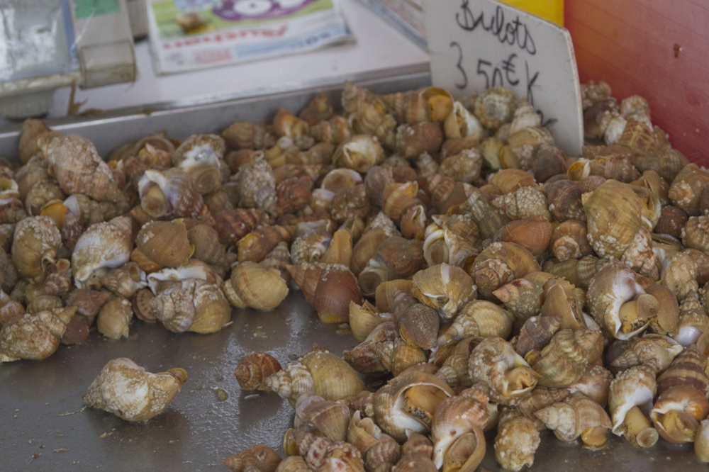 Whelk tartare