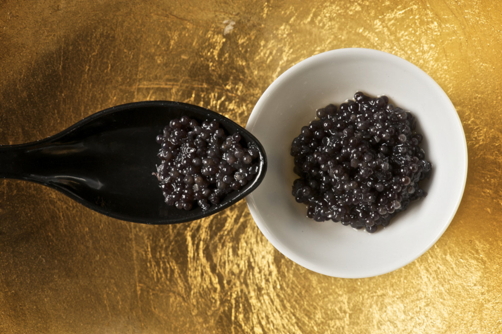 Caviar