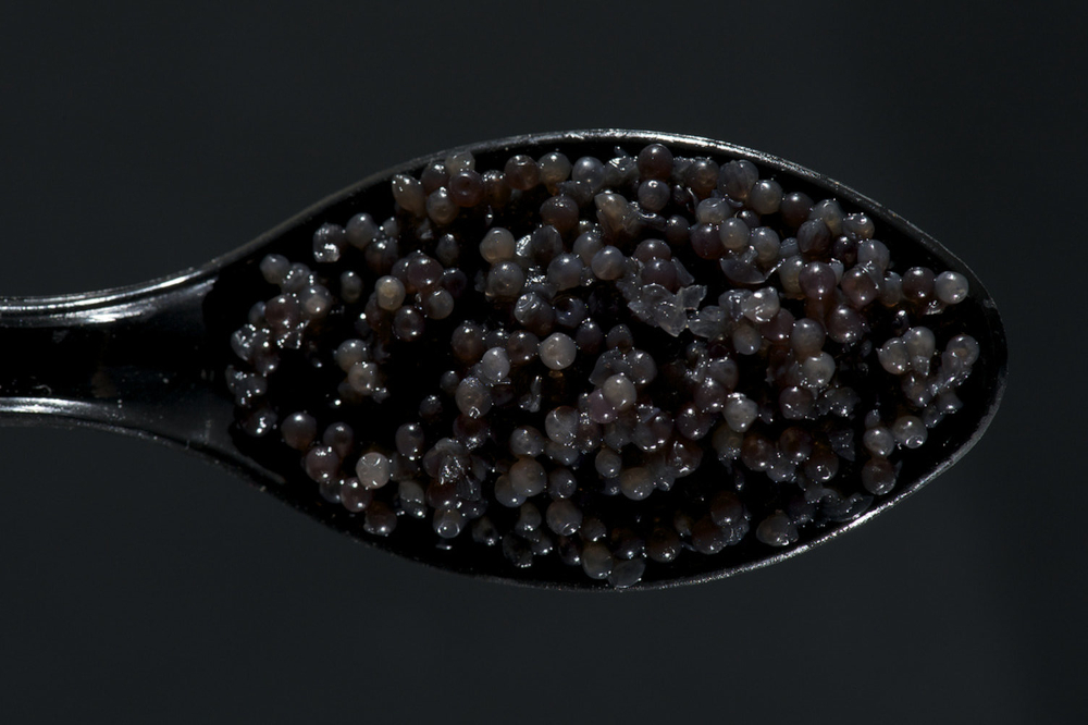 Almas caviar