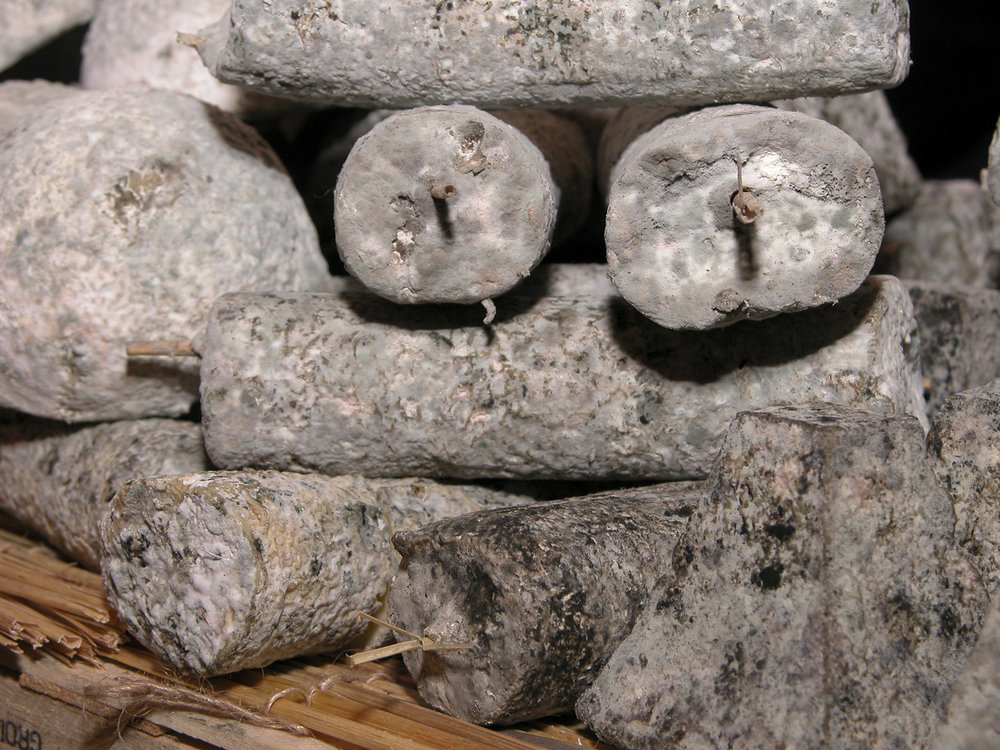 Ash ripened goat cheese log