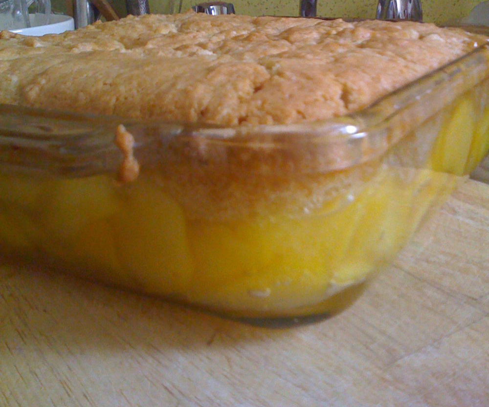 Cobbler à la pêche