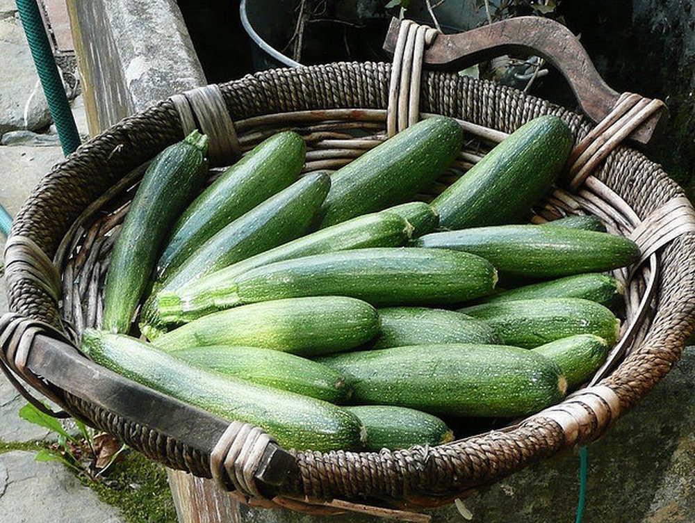 Zucchini feta tart
