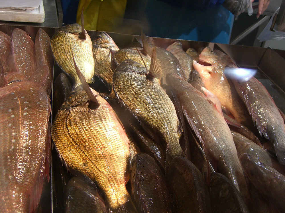 Dorada real con salsa beurre blanc