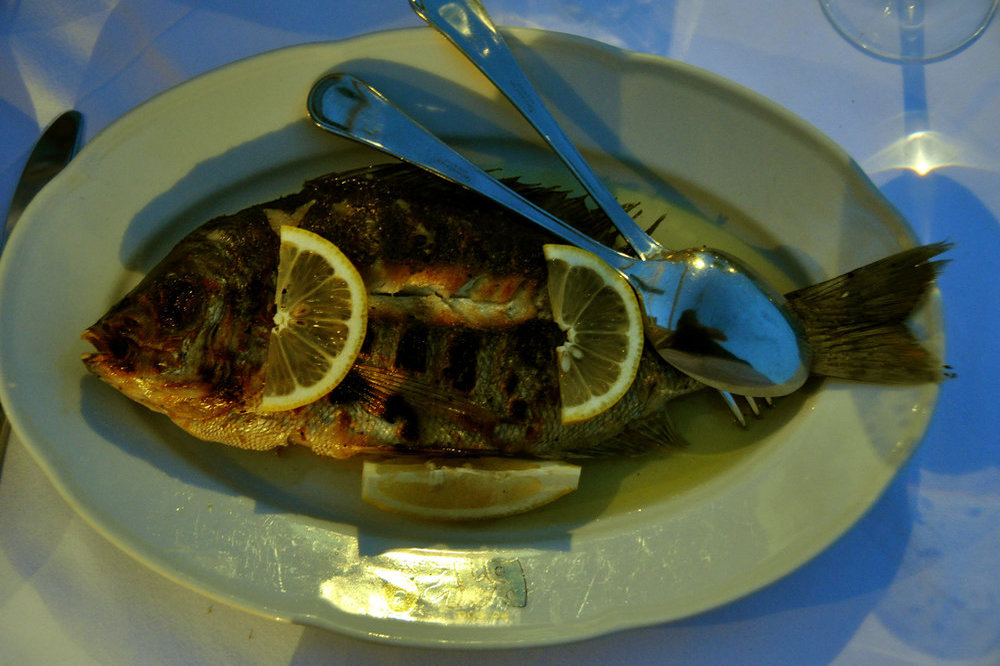 Grilled sea bream