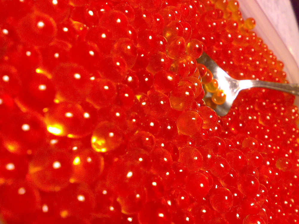 Huevas de salmón