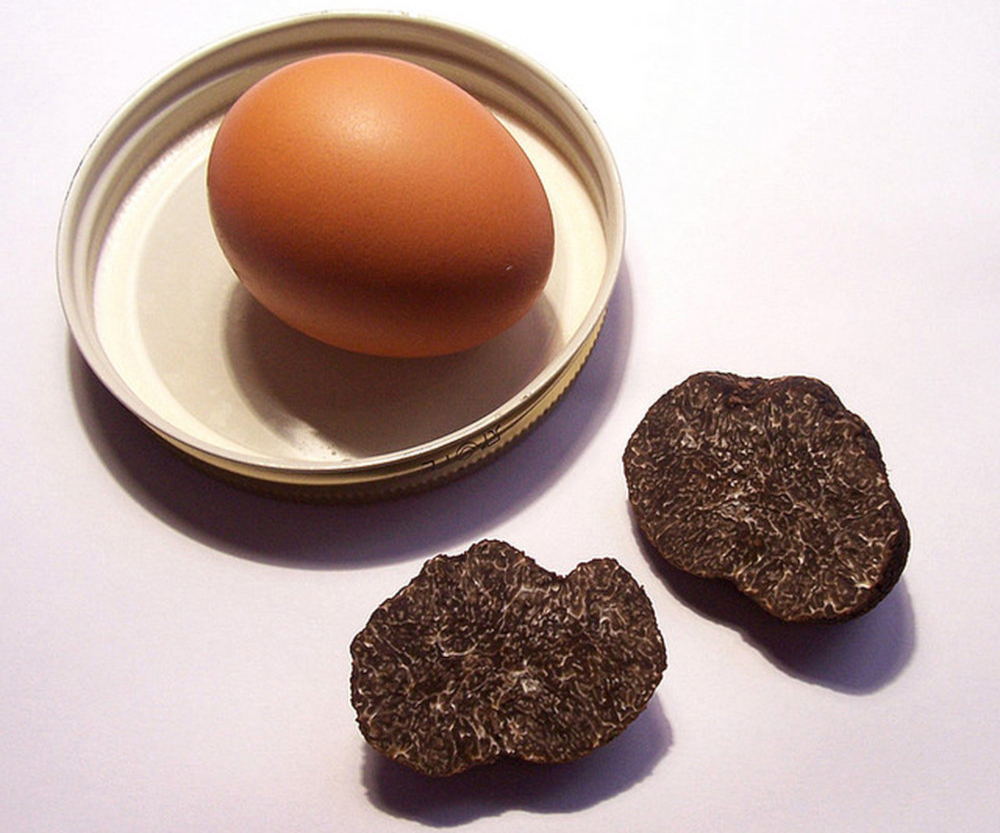 Œufs à la coque à la truffe noire
