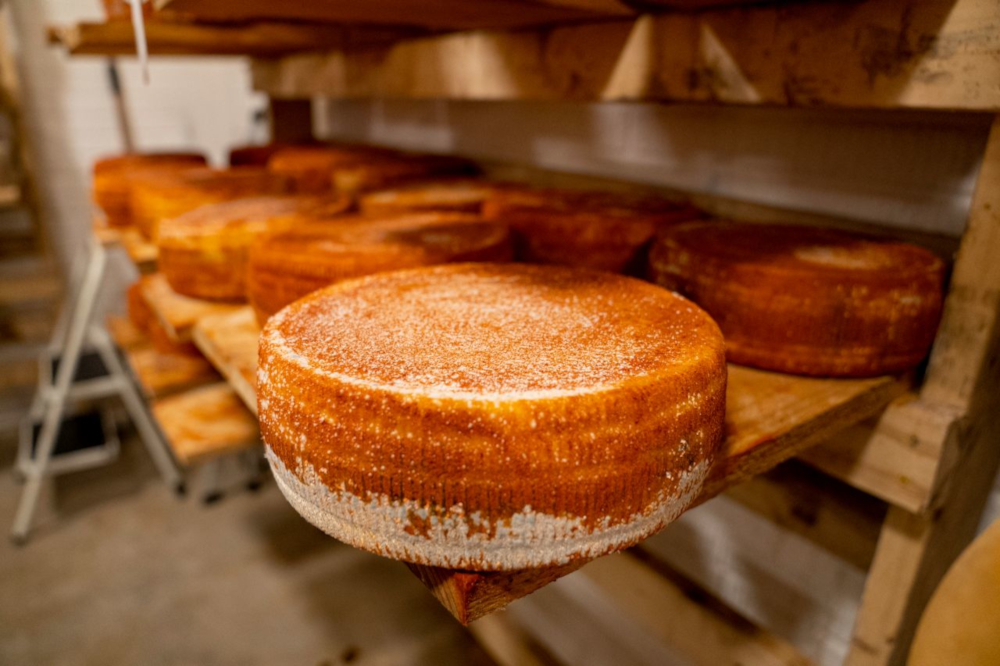 Aged sheep cheese