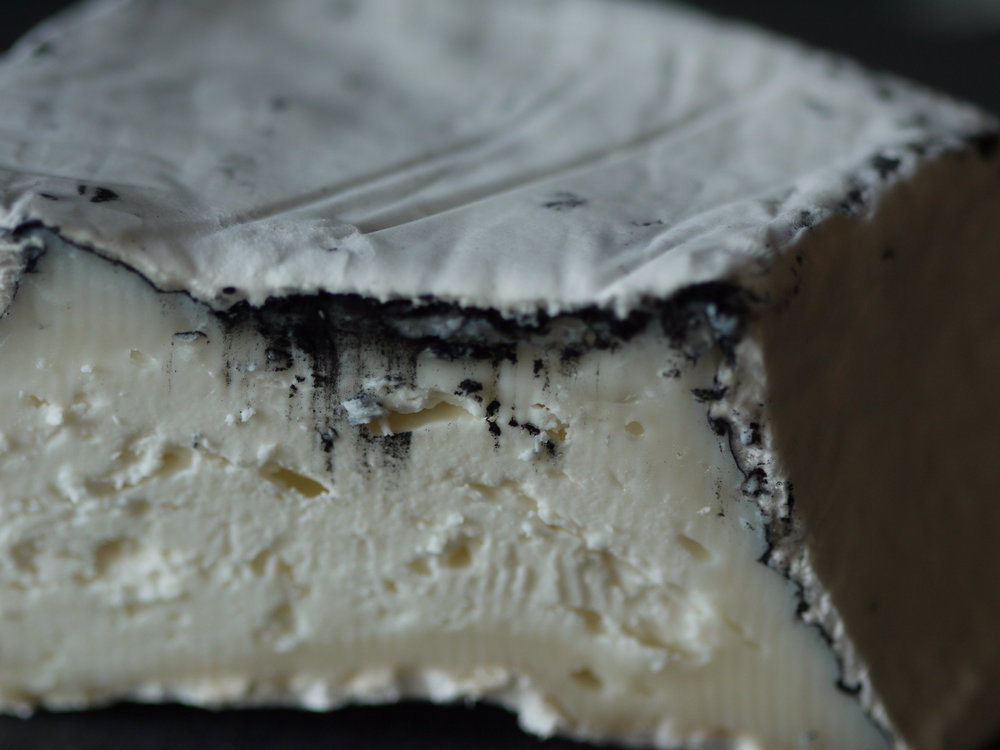 Ash covered goat cheese