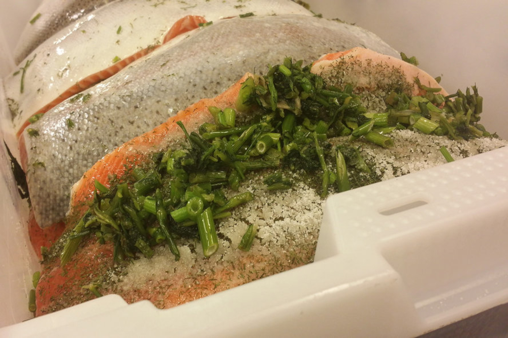 Filetes de trucha gravlax
