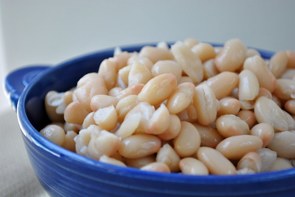 Salade de haricots blancs