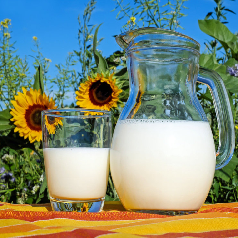 Lait
