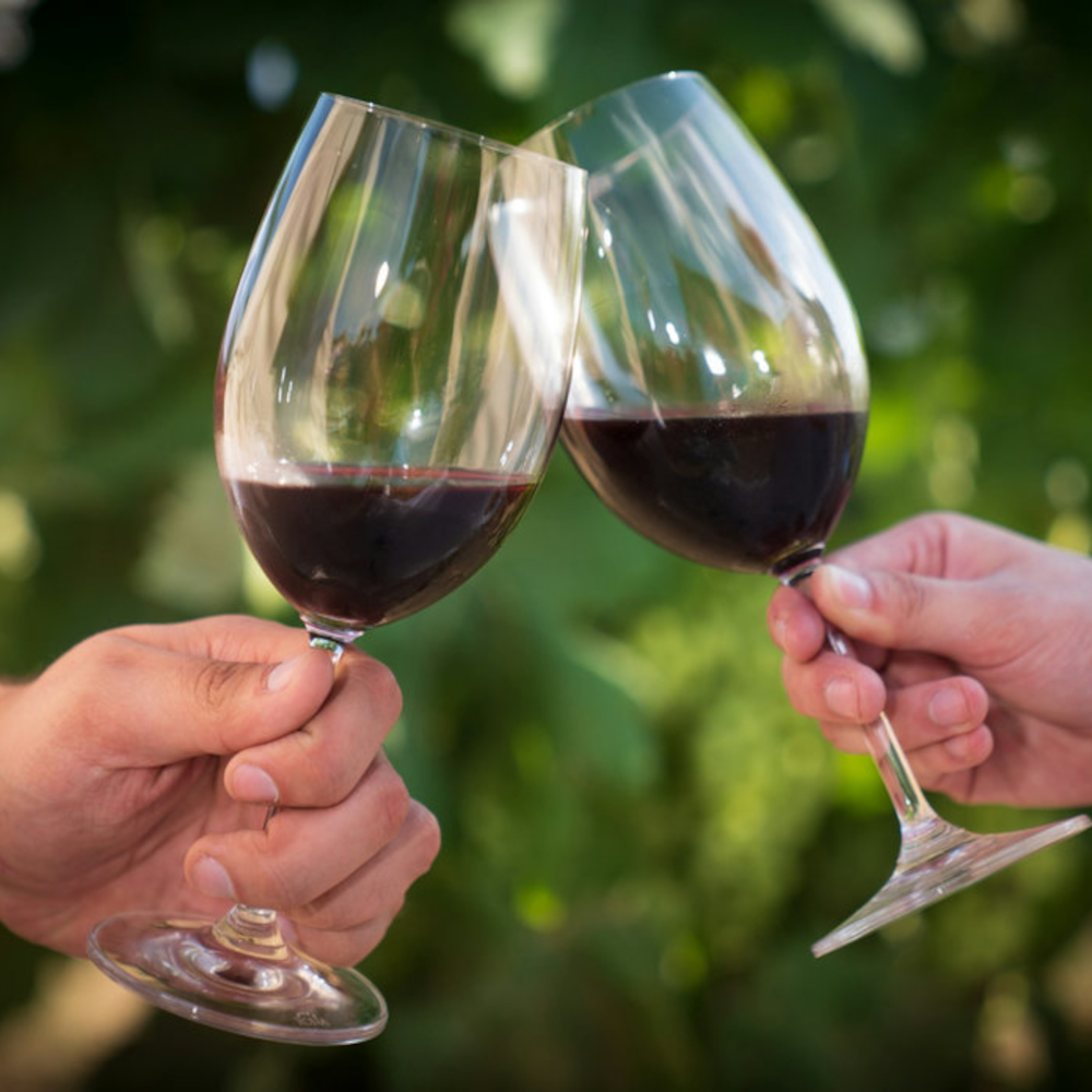 Lalande de Pomerol