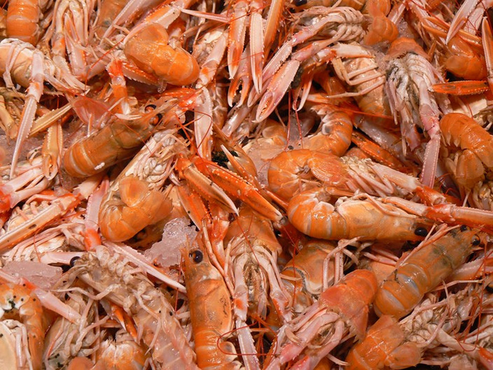 Beignets de langoustines