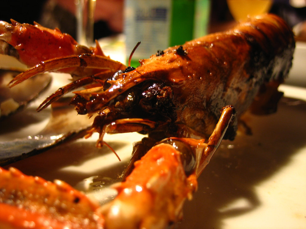 Sautéed langoustine with chanterelle