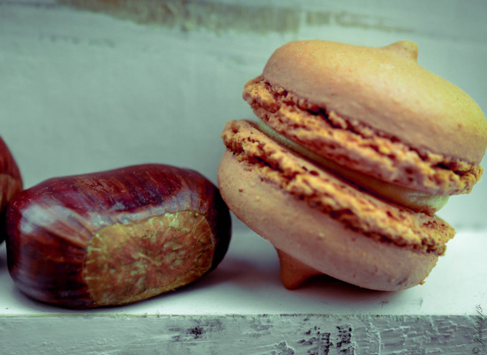 Chestnut macarons