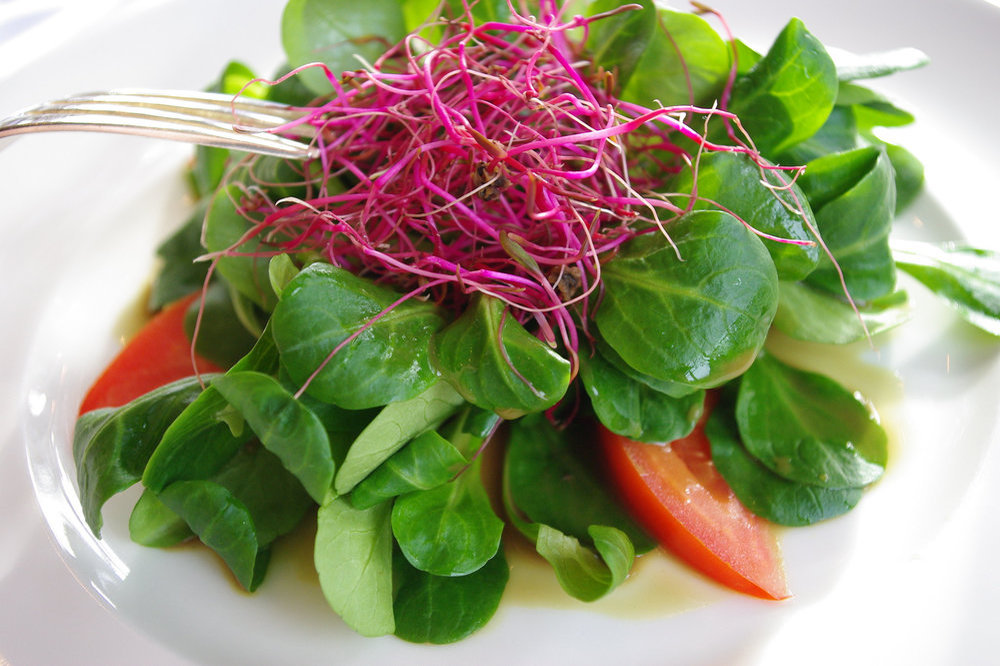 Salade de mâche