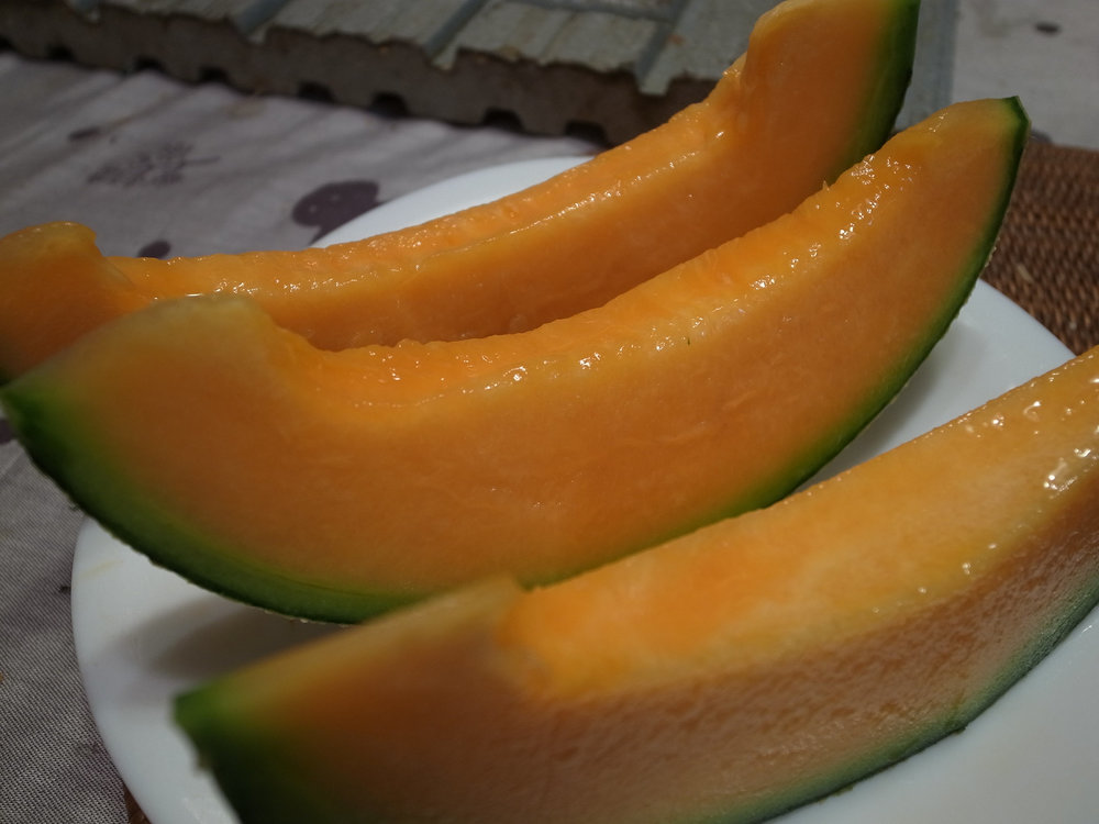 Melon