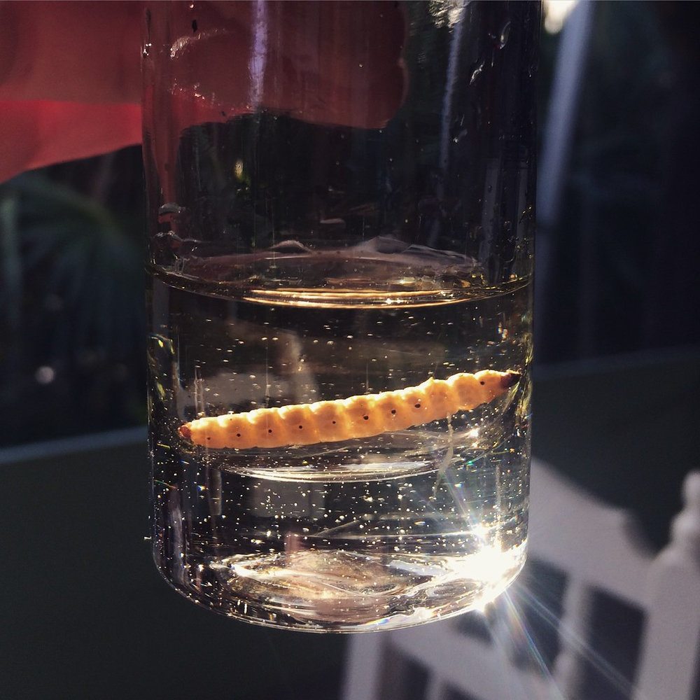 Mezcal