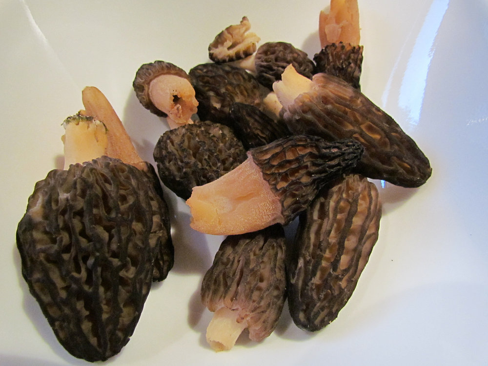 Colmenillas salteadas