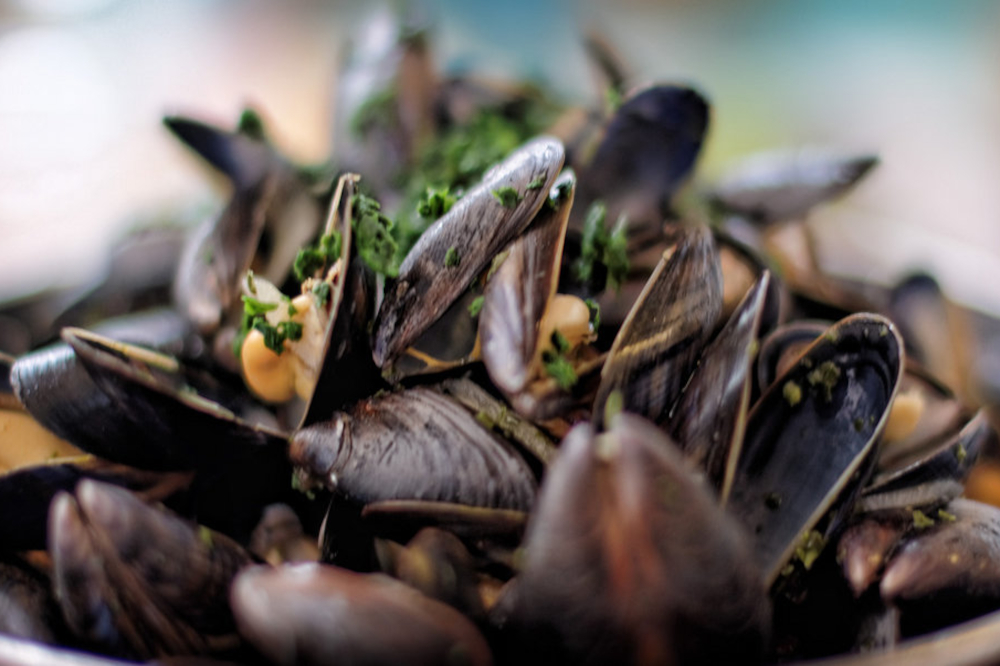 Marmite de moules à la marinière