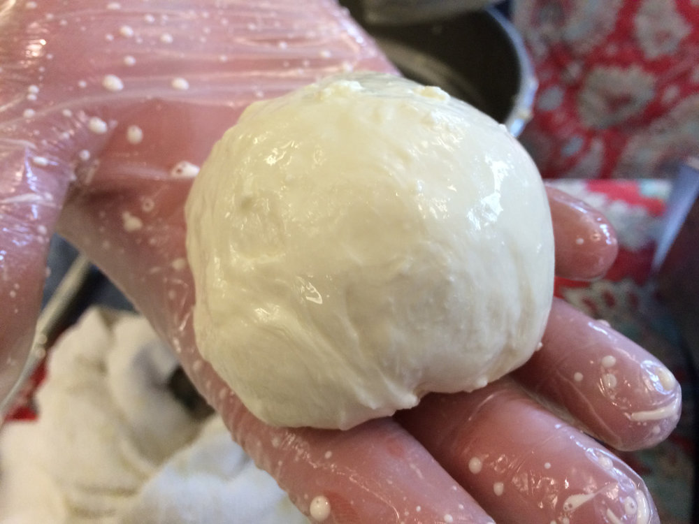 Raw mozzarella