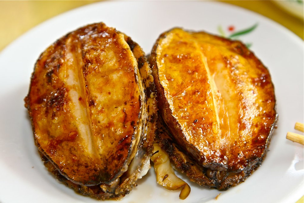 Abalone