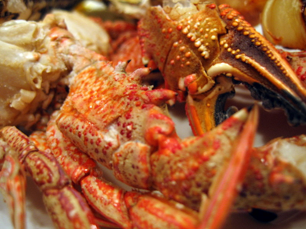 Pinces de crabe grillées