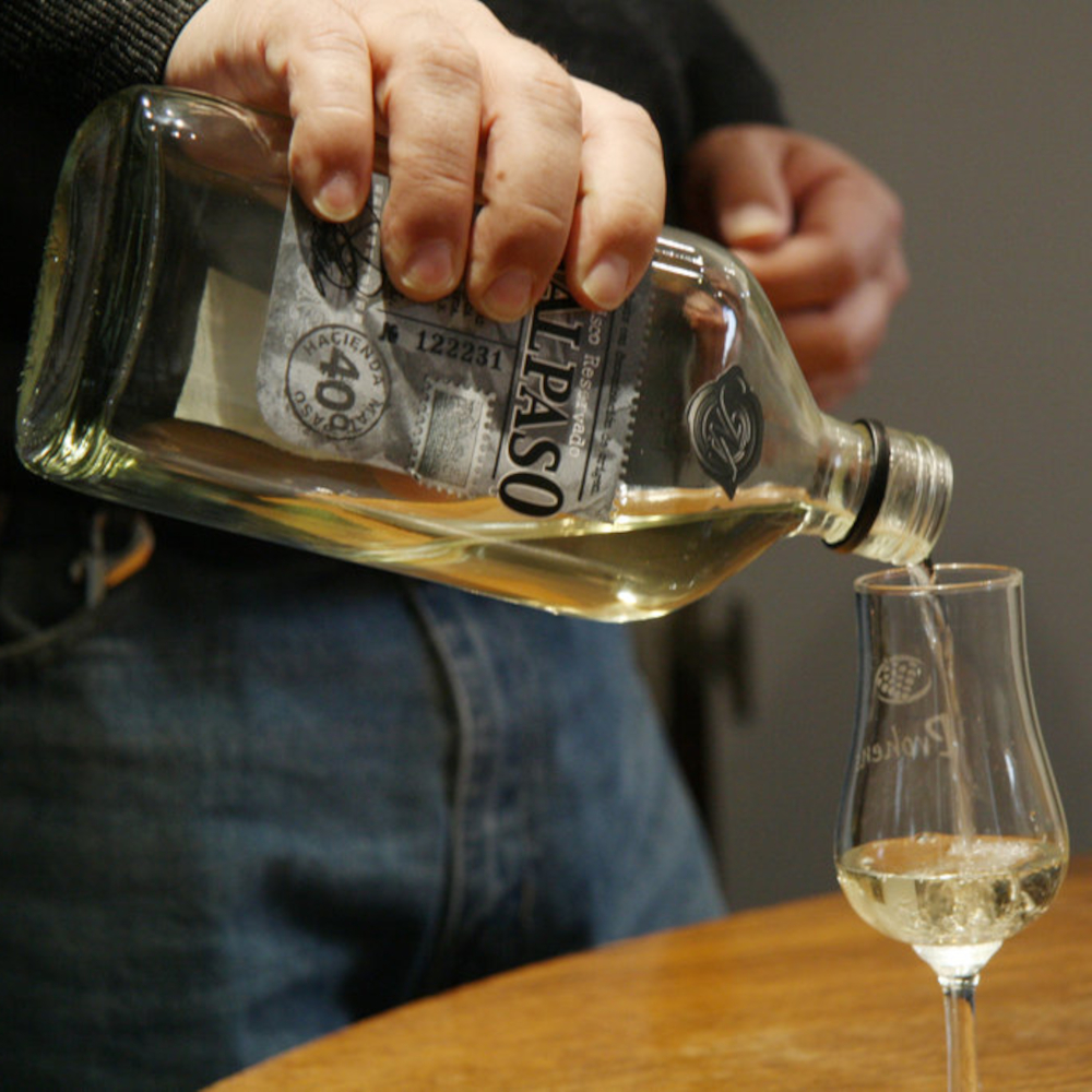 Pisco