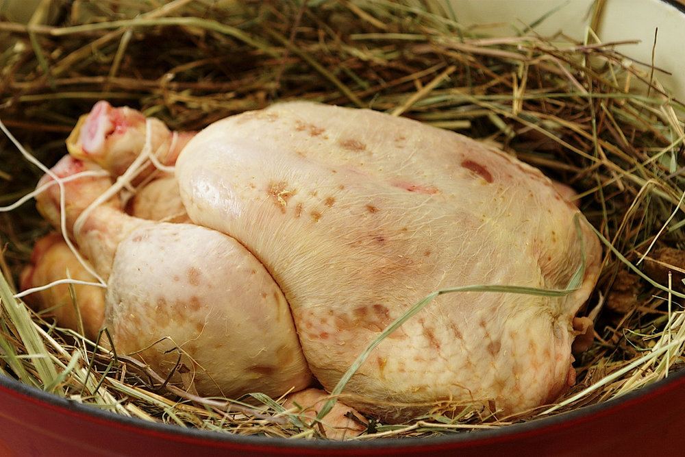 Chicken with white sauce