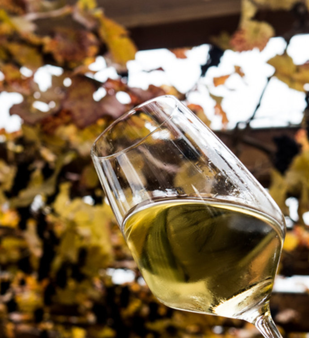 Alsace Vallée Noble Riesling