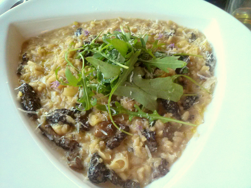 Risotto aux morilles