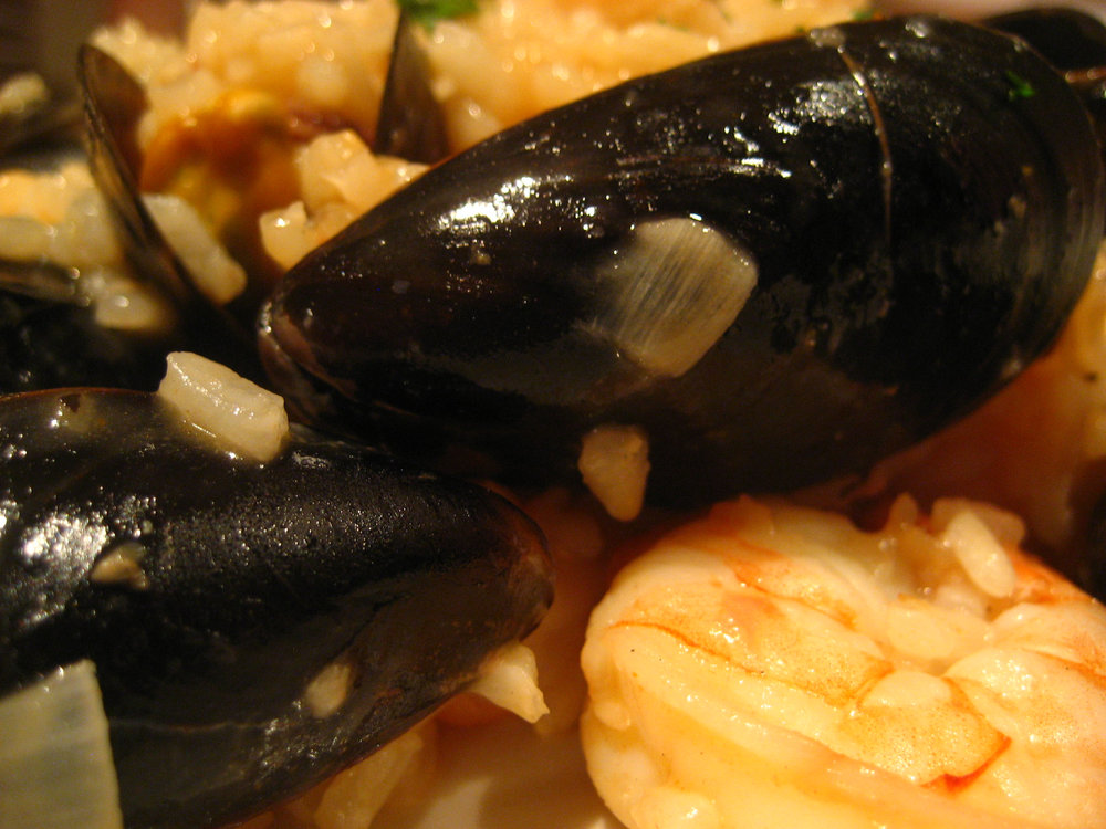 Risotto aux moules