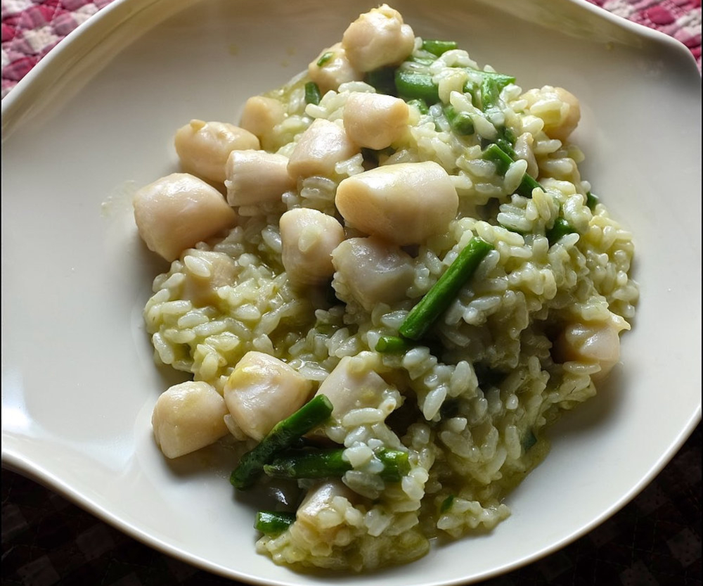 Bay scallop risotto