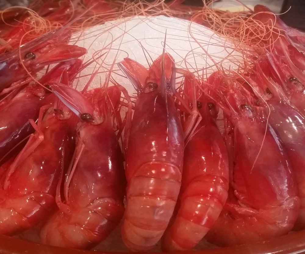 Rosace de gambas
