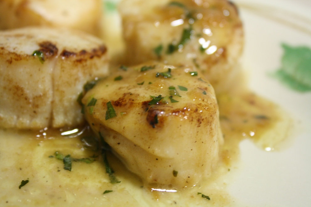 Coquilles Saint-Jacques à l'estragon