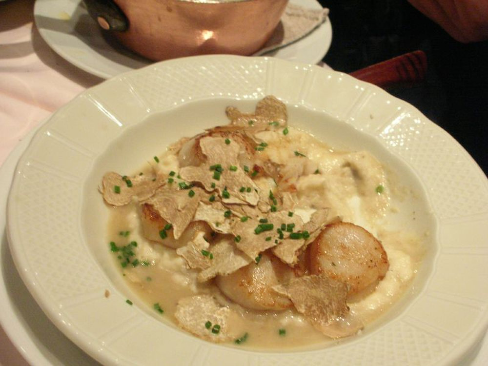 Coquilles Saint-Jacques à la crème de truffe blanche