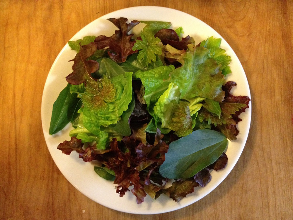 Apple and walnut salad