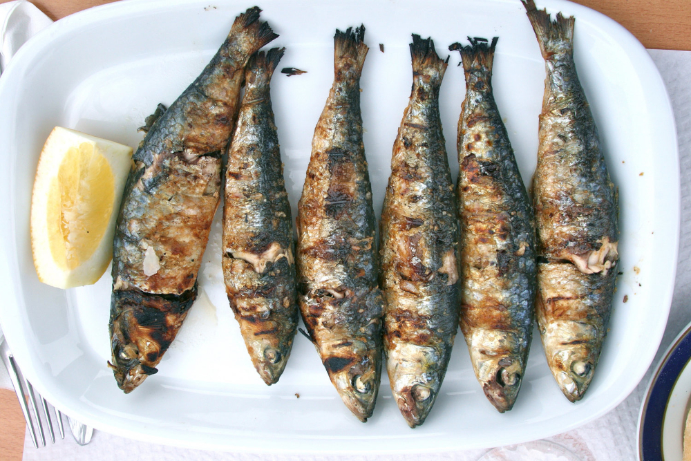 Grilled sardines
