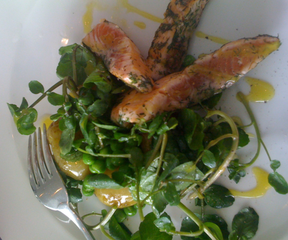 Darne de saumon à la poêle