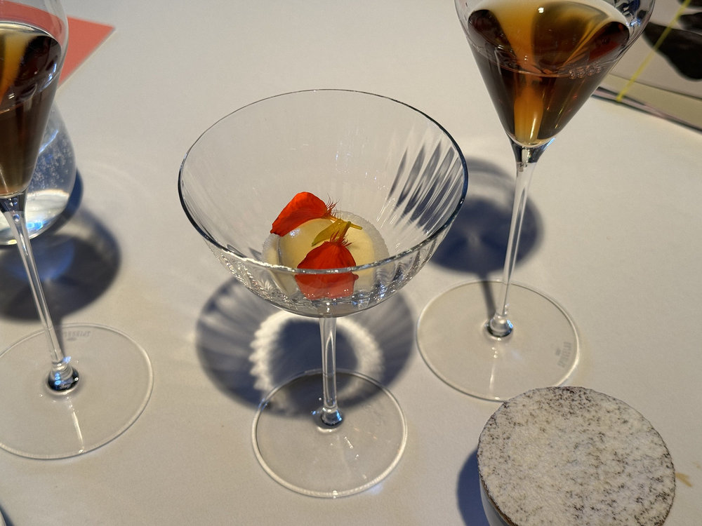 Apricot sorbet
