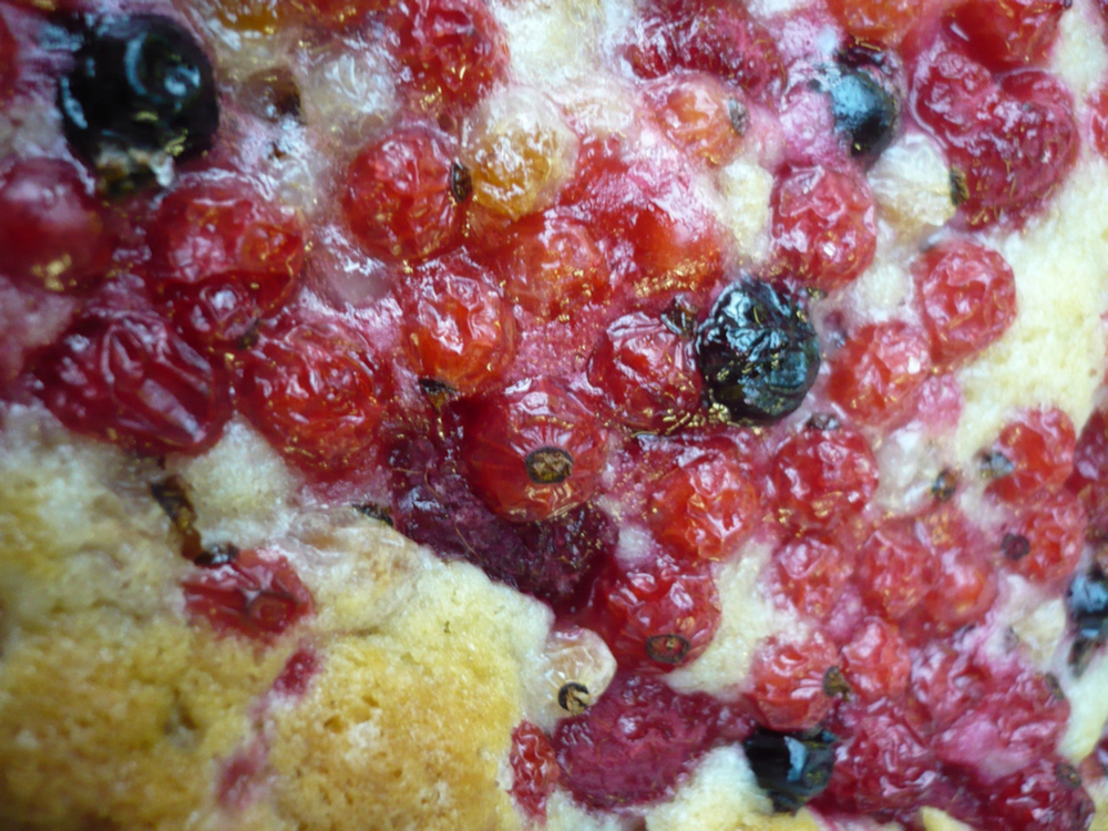Tarte à la framboise et à la groseille