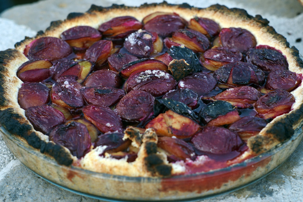 Damson tart
