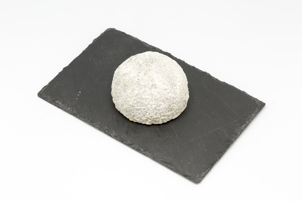 Taupinière