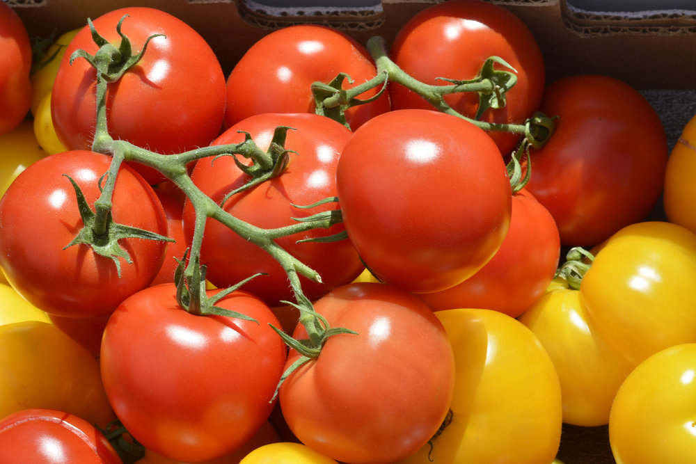 Tomate